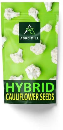 WILLVINE SYN -II Hybrid Variety C 7123Cauliflower [50g, 15000 Seeds] Seed