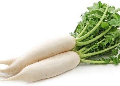 VibeX VXI-36 - Radish White Icicle - (750 Seeds) Seed