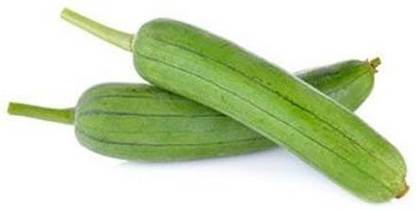 Quentova sponge Gourd-PAUS-6N Seed