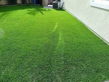 BDSresolve Top Seeds for a Thriving Home Lawn pack of 7787 Seed