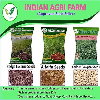 IAgriFarm Legume Fodder Seeds, Each 250 gram - Pack of 1 (Hedge Lucerne, Alfalfa, Cowpea) Seed