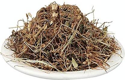 NaturePlanet Amar Bel - Akash Bel - Afteeyun - Aftimoon - Dodder - Cuscuta reflexa Seed