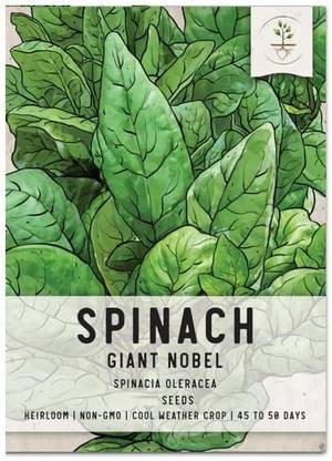 CYBEXIS TLX-75 - Giant Nobel Spinach - (750 Seeds) Seed