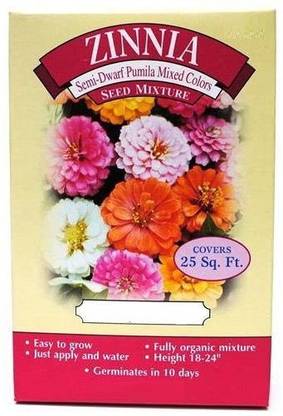 VibeX Zinnia Semi-dwarf Pumila Mixed seed Seed