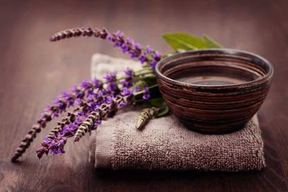 CYBEXIS LXI-90 - Garden Sage-Salvia Officinalis - (450 Seeds) Seed