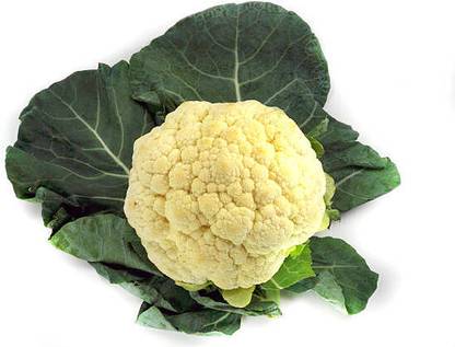 Fedrigoni white cauliflower,gobhee seeds Seed