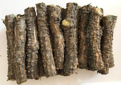 The BL Giloy | Guduchi | Tinospora Cordifolia Powder Seed