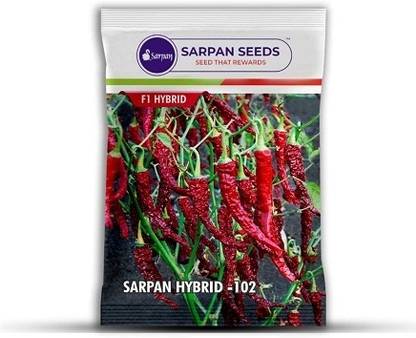 BALA PLANT CREATION Byadgi Chilli Seeds Seed