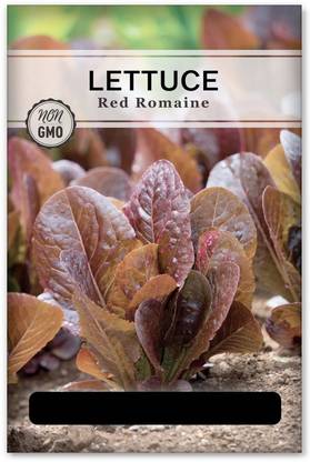 Quentova Red Romaine Lettuce 0.5gm Seed