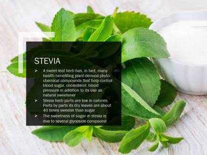 WILLVINE STEVIA(1000) Seed