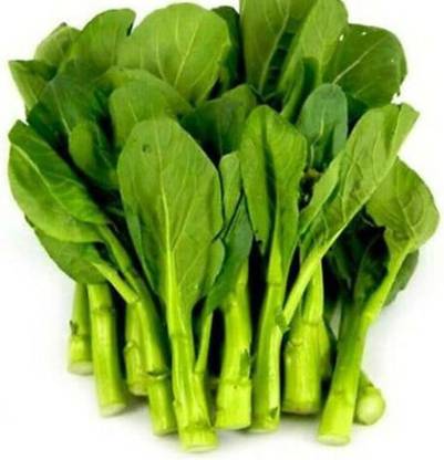 WILLVINE HUA -XI Yu Choy Choi Sum Choy Sum Chinese Cabbage [2.5g] Seed