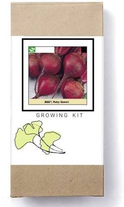 Biosnyg Ruby Queen Beetroot-[250 Seeds] Seed