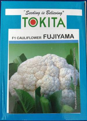 TOKITA Cauliflower, Fujiyama - 10 gm Seed