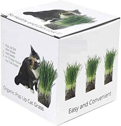 VibeX ATS-84 - Hard Red Winter Wheat - (7500 Seeds) Seed