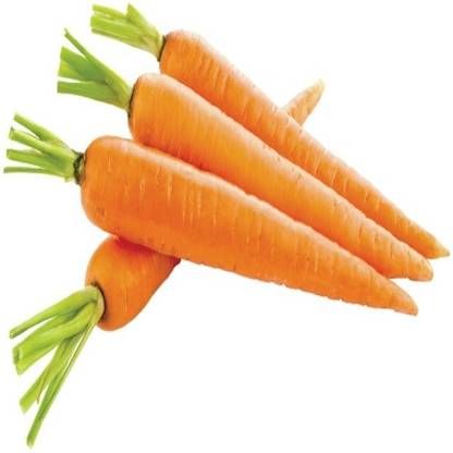 CEZIUS गाजर के बीज विलायती गाजर Orange Carrot-A8C Seed