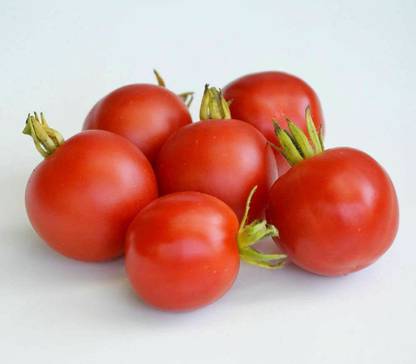 CYBEXIS Seeds of Vegetable Tomato Outdoor Girl Early1000 Seeds Seed