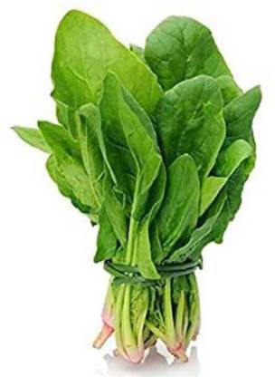 Oliver palak,spinach Seed