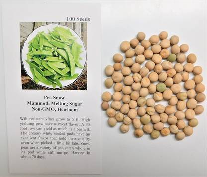 Qualtivate XXX-1A Pea Snow Mammoth Melting Sugar Seed