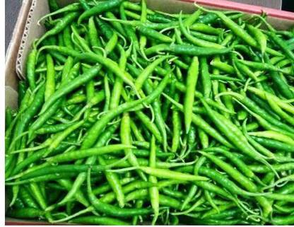 greenfarm NXC- Chilli Seeds / Mirchi Seeds / Organic, 320 X Seeds , bvl138 Seed