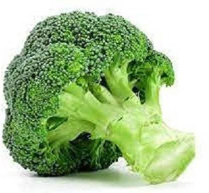 CYBEXIS PAU-79 - Diccio Broccoli - (450 Seeds) Seed
