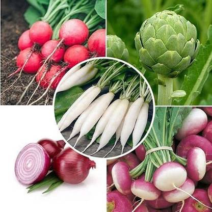 MKR Enterprises Combo Pack Seed