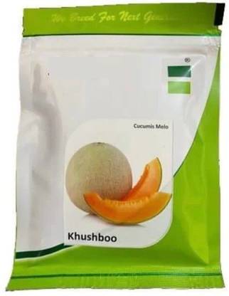 VibeX XL-12 - Hara Madhu Kharbuj / Musk Melon - (1350 Seeds) Seed