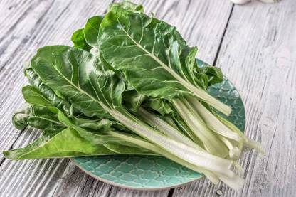KNESSiN Swiss Chard Seeds Seed