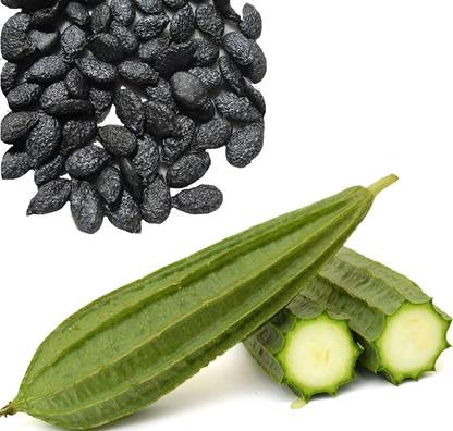 GOSIDDHI GOSIDDHI ORGANIC DODAKA SEEDS Seed