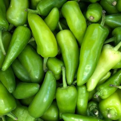 granthi Bullet Chilly/Green Chilly/Pickled chilli Seed