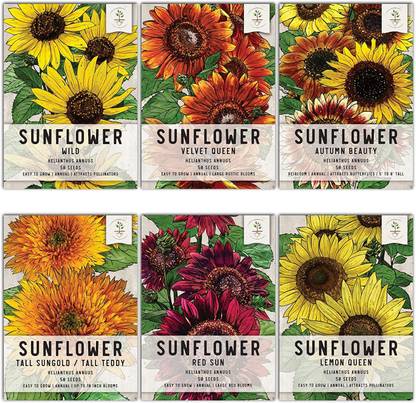 VibeX PAU-45 - Crazy Sunflower Collection (6 Varieties) - (450 Seeds) Seed