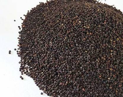 साइबेक्सिस जख्या (जखिया) क्यूलिनरी सीड्स 200 सीड्स बीज