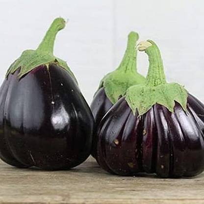 Qualtivate HUA-6A Eggplant Brinjal (Aswad Iraqi Seeds) Seed