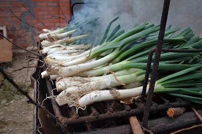 WILLVINE VMR -VII Dae-Pa Korean Large Green Onion [5g] Seed