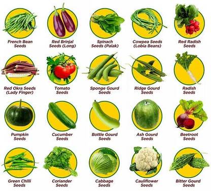 jeyanthi enterprises 20 Vegtables seeds for Graden Seed