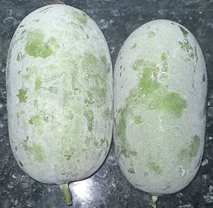 Aywal Ash Gourd (Mithai Petha) Vegetable Seed