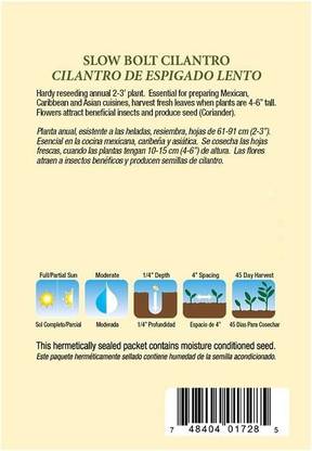 VibeX GUA-83 - Cilantro Slow Bolt - (250 Seeds) Seed