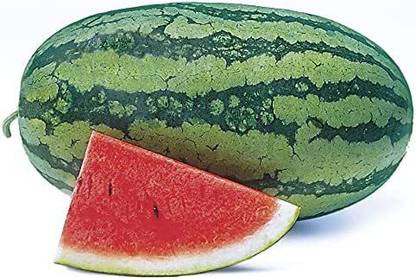 CYBEXIS PUAS-94 - Sweet Beauty Hybrid Watermelon - (150 Seeds) Seed