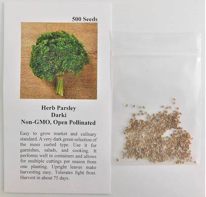 CYBEXIS NBIR-59 - Parsley Darki - (750 Seeds) Seed