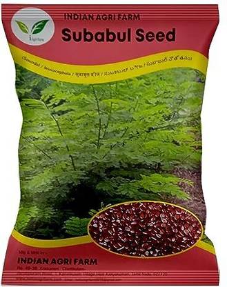 IAgriFarm SUBABUL SEED Pack of - 500 gram - SAFED BABOOL(LEUCAENA LEUCOCEPHALA)FODDER TREE Seed