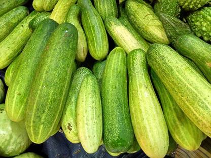 CHILLATAI Cucumber Seeds / Vellarikai Seed