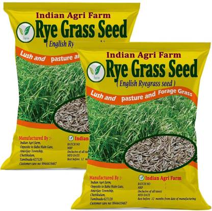 IAgriFarm Rye Grass Seed - 2 Kg - Perennial Ryegrass, Fast Growing Grass for Lawn Seed