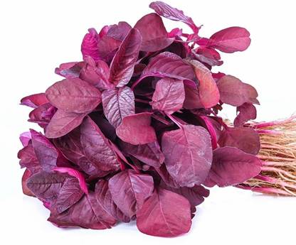 SREE Red Amaranth Spinach,Lal Shak ,Hybird Seed