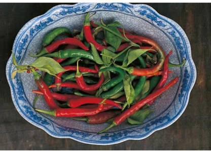 greenfarm NXC- Chilli Seeds/Mirchi Seeds/ Best Quality , 220 X Seeds , kki37 Seed