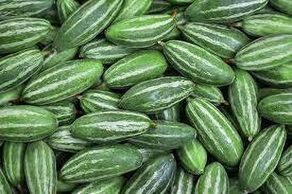BDSresolve parwal vegetable seeds, pointed gourd seeds, parwal potol seeds Seed