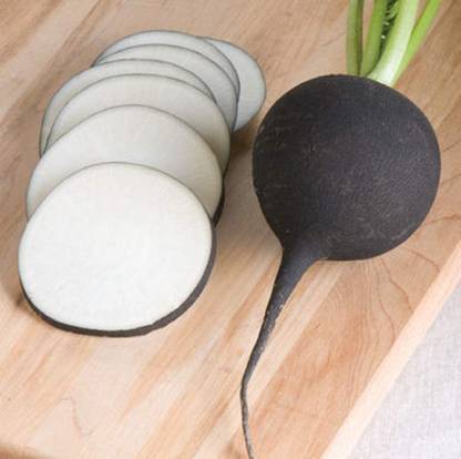 CYBEXIS XLR-74 - Radish Nero Tondo(Black) - (250 Seeds) Seed