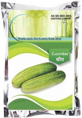 VibeX ® XXL-845 Winter Hybrid Cucumber Seeds Seed