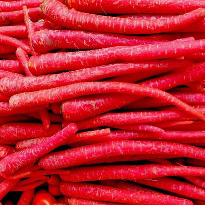 Biosnyg Kyoto Red Carrot Seeds Sweet-1000 Seeds/1gm Seed