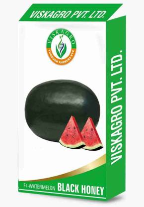 VENGATESH KUMAR TRADERS Vengadesh Seed
