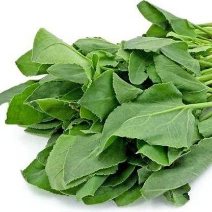 Paudha Chukka Kura Sorrel Leafy Plant Seed