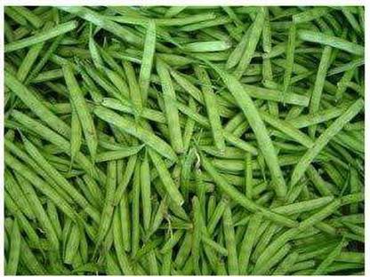 KANAYA Gwar Fali (Cluster Beans) Seed